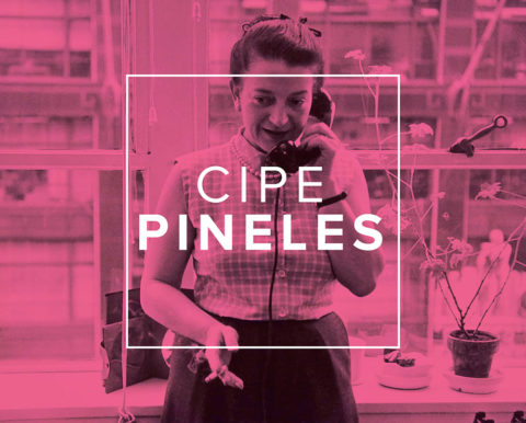 Cipe Penels